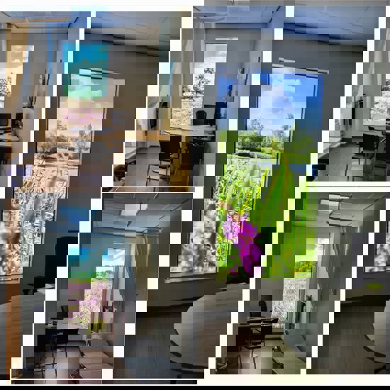 Ac3dcc1a 3A65 4173 9B7b 2737B983dd21