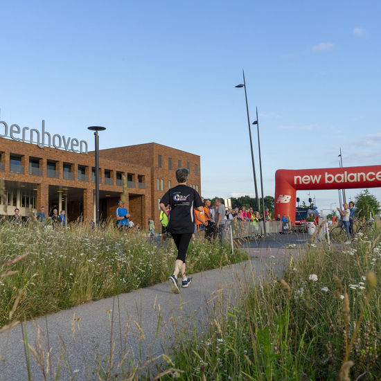 41380999310 58C35f8293 O (1)