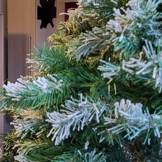 Kerstboom