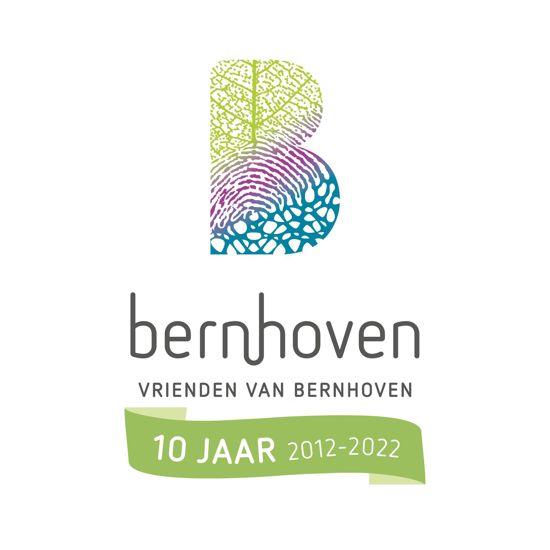 Feestlogo 10 Jaar