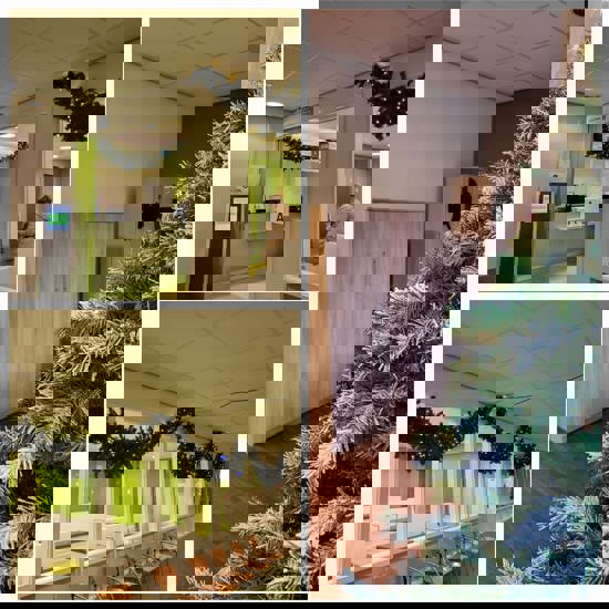 Kerstversiering Collage